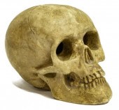 MEMENTO MORI CERAMIC MODEL OF