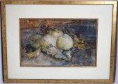 MENSO KAMERLINGH ONNES (1860-1