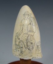MERCURY WALRUS TOOTH SCRIMSHAW