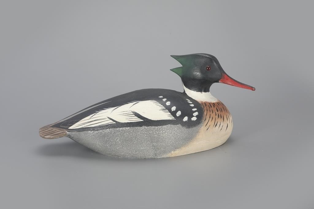MERGANSER DRAKEThe Ward Brothers