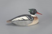 MERGANSER DRAKEThe Ward Brothe