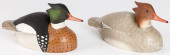 MERGANSER DUCK DECOYS, SIGNED
