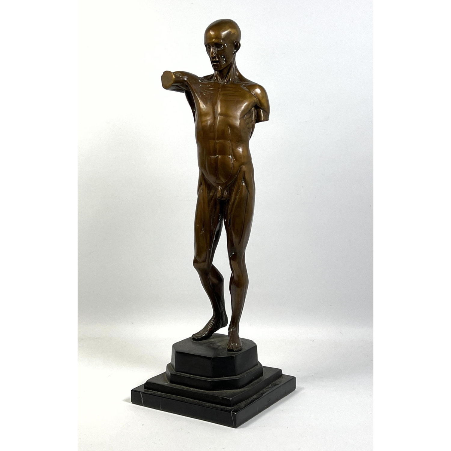 Metal Anatomical Nude Male