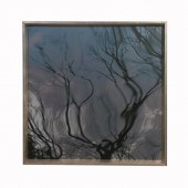 "METALLIC TREE REFLECTION" ON