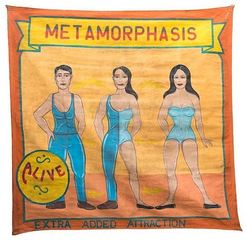 METAMORPHASIS. EXTRA ADDED