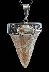 MEXICAN OPAL, SILVER, & FOSSIL