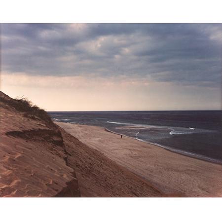 MEYEROWITZ, JOEL (b. 1938)