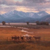 Michael Albrechtsen
(American,