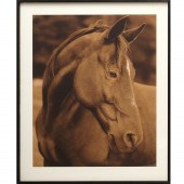 MICHAEL EASTMAN, LARGE EQUESTR