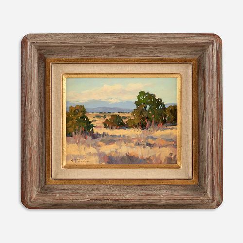 MICHAEL JOHNSON "WINTER PINON"