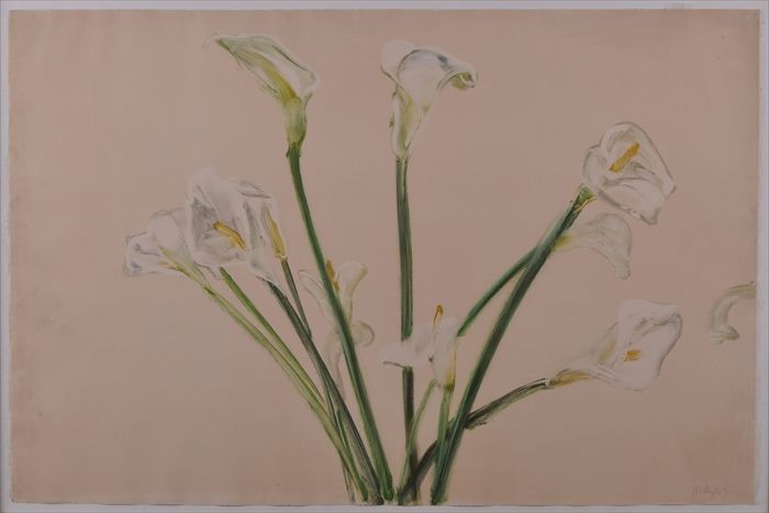 MICHAEL MAZUR (b. 1935): "CALLA