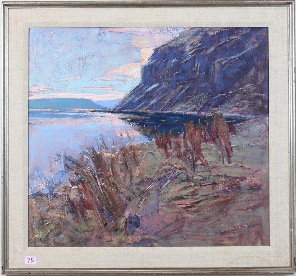 MICHAEL S. FERGUSON (WASHINGTON,