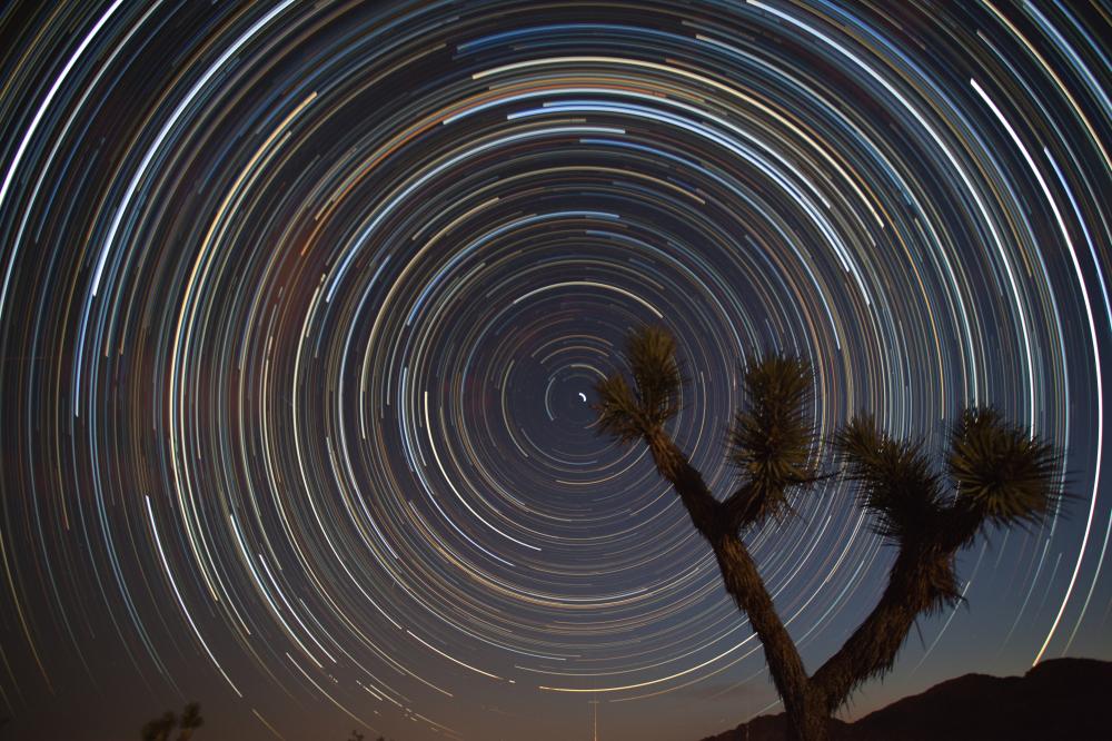 MICHAEL WICKS , "STARS OVER