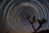 MICHAEL WICKS , "STARS OVER JO