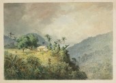 Michel J. Cazabon (French 1813