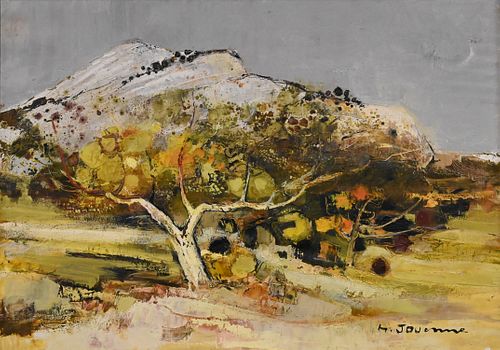 MICHEL JOUENNE (1933 -