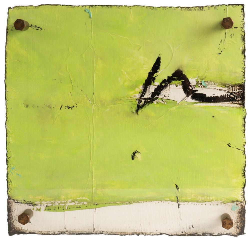 MICHELLE Y. WILLIAMS (B. 1976):