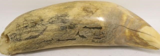MID-19TH C SCRIMSHAW WHALE TOOTH