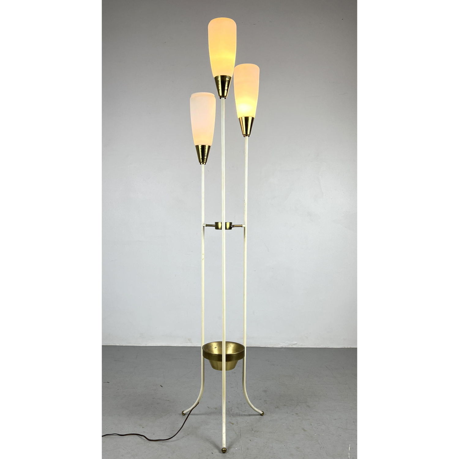 Mid Century Modern Floor Lamp.