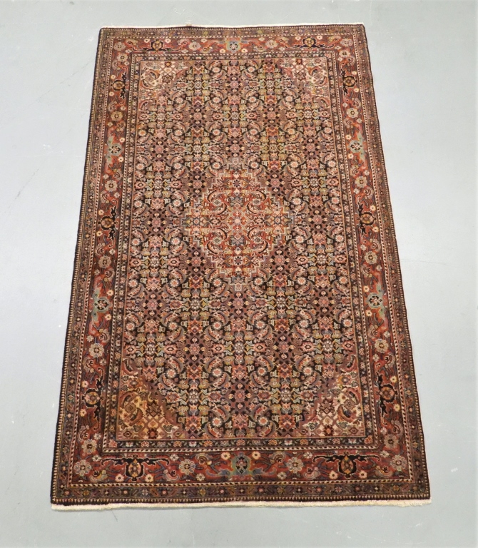MIDDLE EASTERN BOTANICAL CARPET RUG