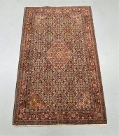 MIDDLE EASTERN BOTANICAL CARPE