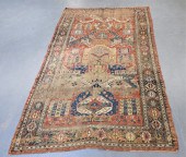 MIDDLE EASTERN DRAGON SOUMAC C