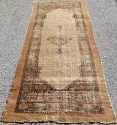 MIDDLE EASTERN YELLOW RUNNER M