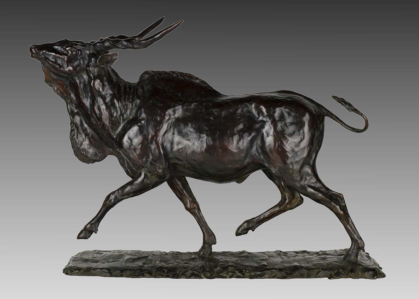 MIKE BARLOW (1963- ), GIANT ELAND