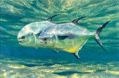 MIKE STIDHAM (1954- ), PERMIT