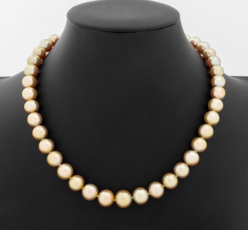 MIKIMOTO 1893 18K GOLDEN PEARL