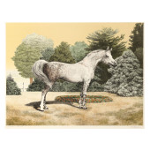 MILFORD "MEL" JOSEPH HUNTER II