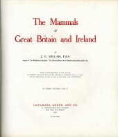 MILLAIS (J G)<br />
THE MAMMA
