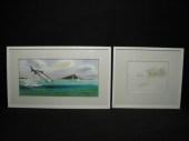 Millard Wells Florida Keys fis
