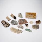 MINERAL, FOSSIL, AND CORAL COL