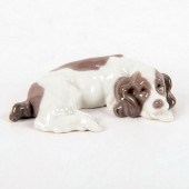 MINI COCKER-SPANIEL 1005310 -