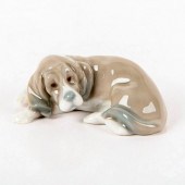 MINI COCKER-SPANIEL PUP 100530