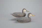 MINIATURE BLACK DUCK PAIRBenja