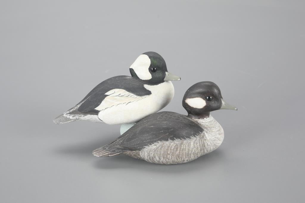 MINIATURE BUFFLEHEAD PAIRMark