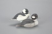 MINIATURE BUFFLEHEAD PAIRMark