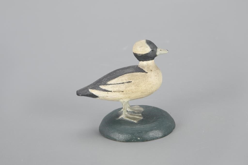 MINIATURE BUFFLEHEADLevi W.