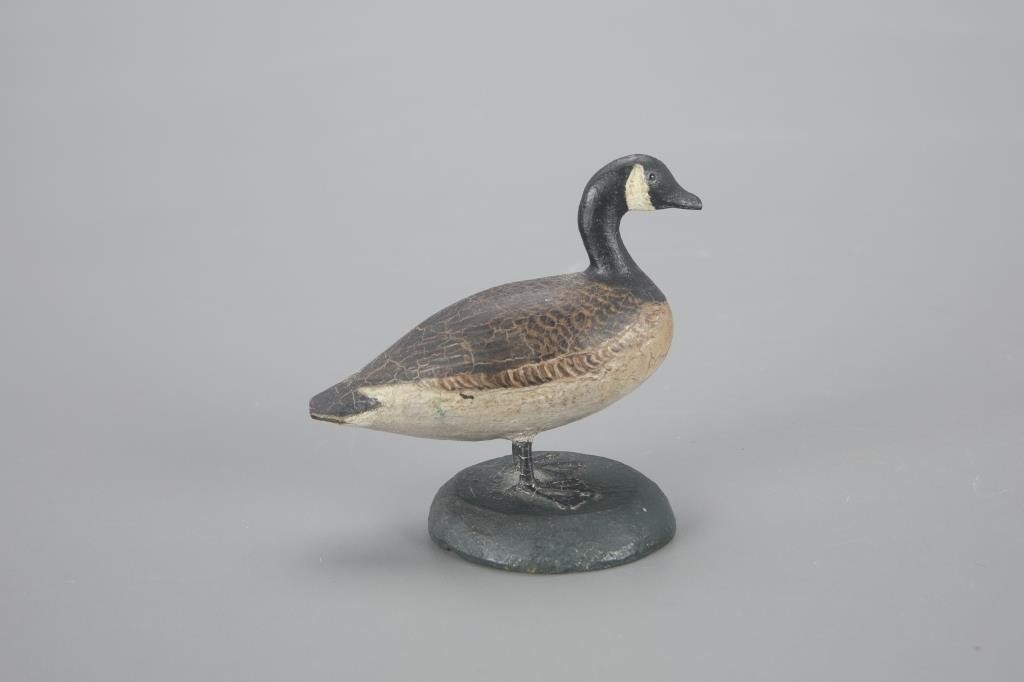 MINIATURE CANADA GOOSELevi W.