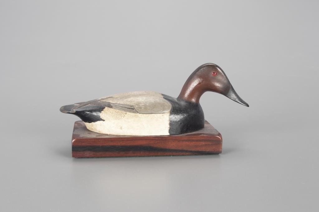 MINIATURE CANVASBACKDr. Lewis