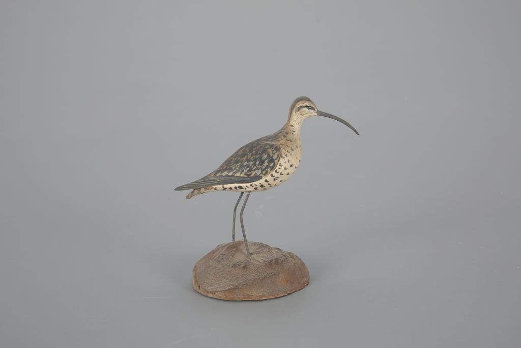 MINIATURE CURLEWRuss P. Burr