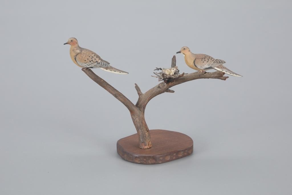 MINIATURE DOVE FAMILYAllen J.