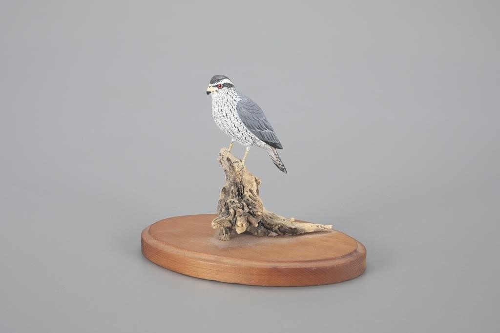 MINIATURE FALCONAnthony Hillman