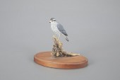 MINIATURE FALCONAnthony Hillma