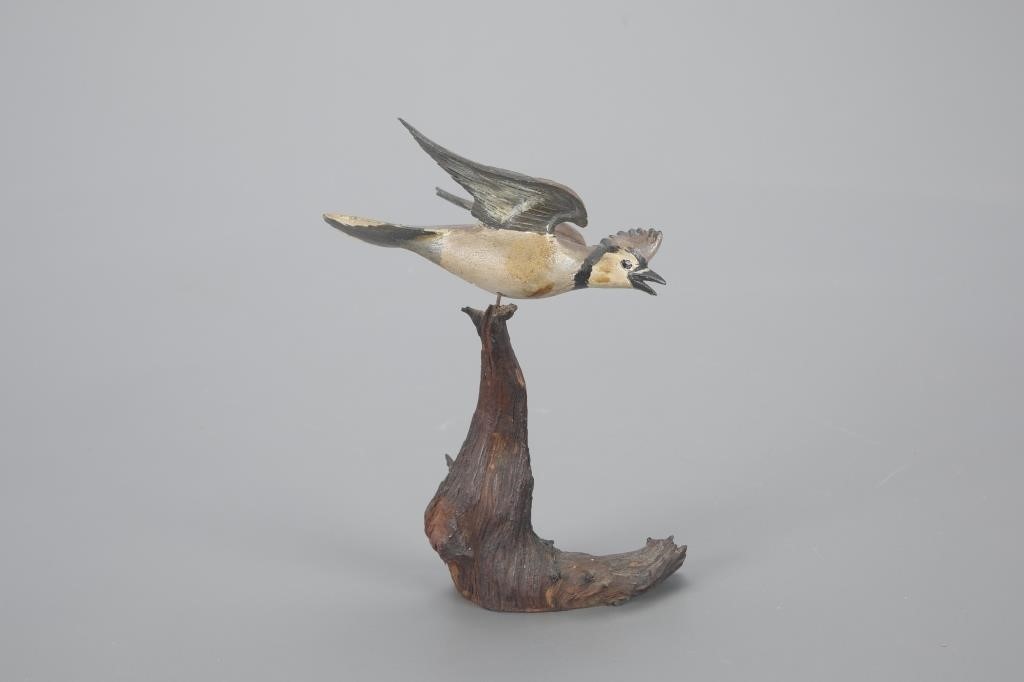 MINIATURE FLYING BLUE JAYRuss P.
