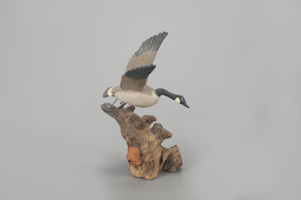 MINIATURE FLYING GOOSERuss P.