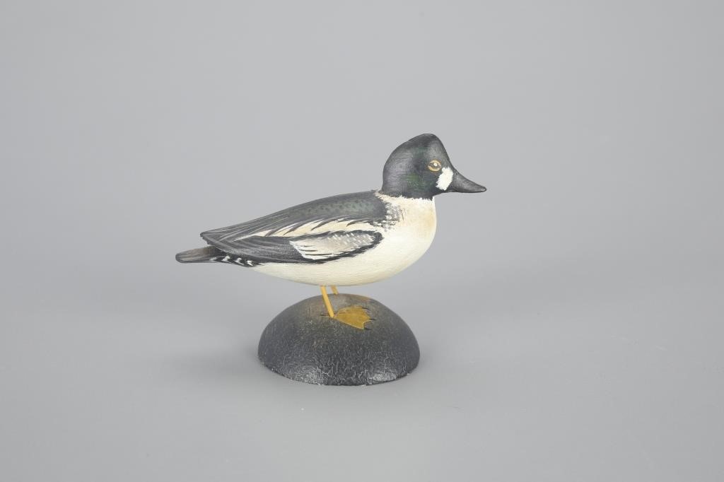MINIATURE GOLDENEYE DRAKEA. Elmer