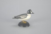MINIATURE GOLDENEYE DRAKEA. El